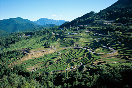 うちの郷土料理