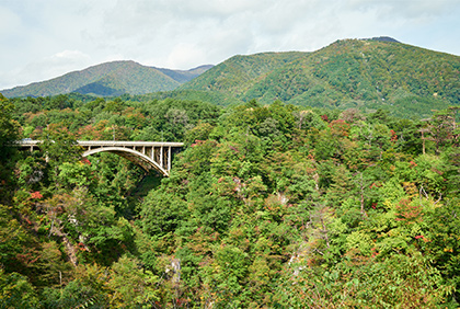 うちの郷土料理