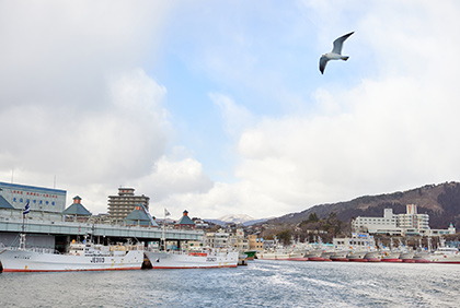うちの郷土料理