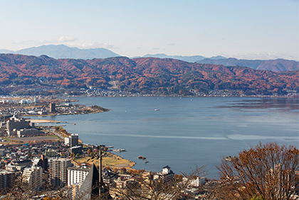 うちの郷土料理