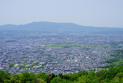 うちの郷土料理