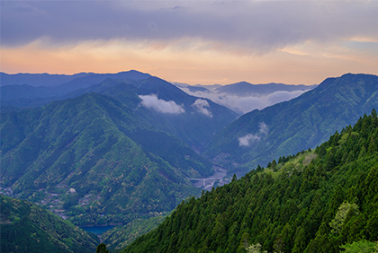 うちの郷土料理