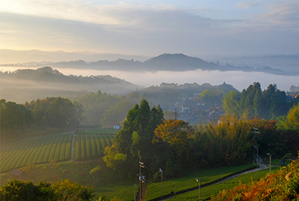 うちの郷土料理