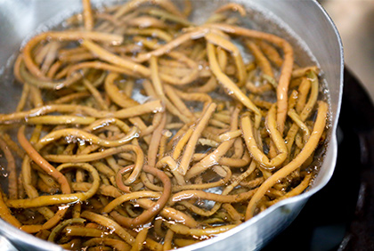 うちの郷土料理