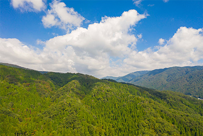 うちの郷土料理