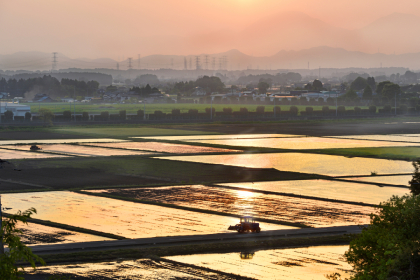 高根沢町の田園風景