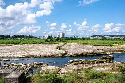 多摩川