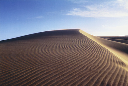 うちの郷土料理