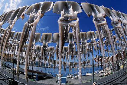 うちの郷土料理
