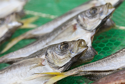 うちの郷土料理