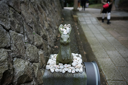 うちの郷土料理