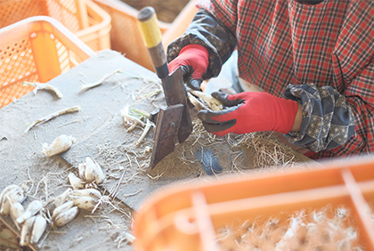 うちの郷土料理