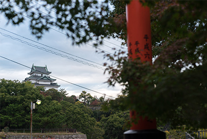 うちの郷土料理