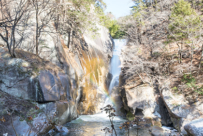 うちの郷土料理