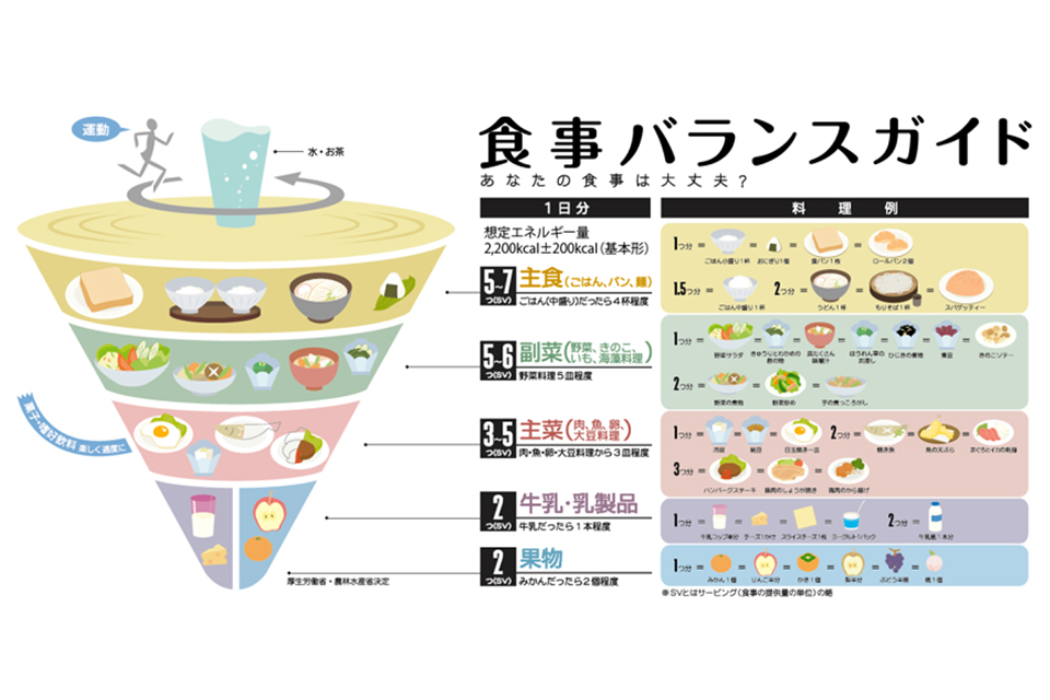 食事バランスガイド