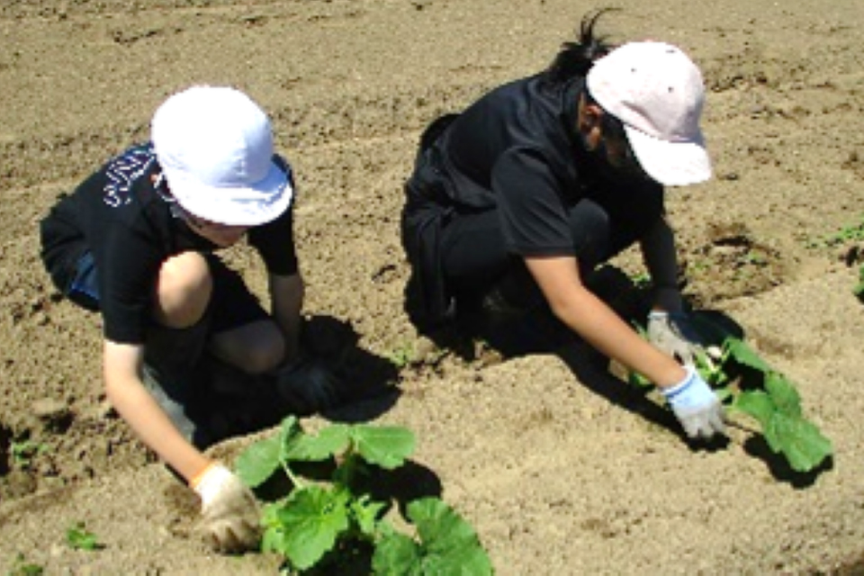 食事バランスガイド