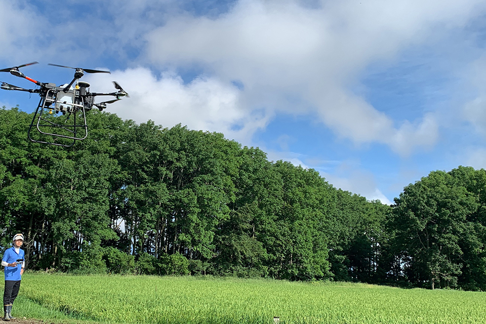 田んぼの上をドローンが飛んでいる写真