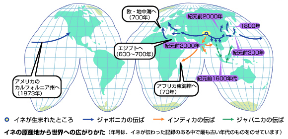 イネの世界への広がり方の地図