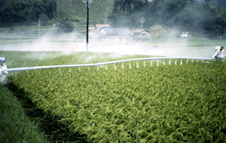 農薬をまく写真