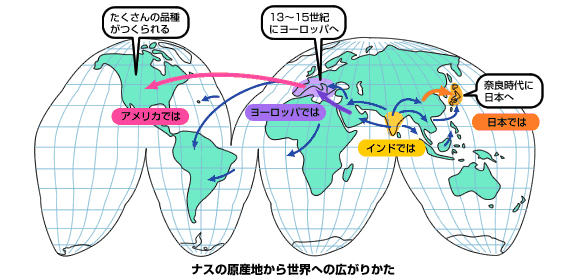 ナスの世界への広がり方の地図