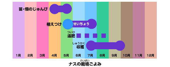 ナスの栽培ごよみ