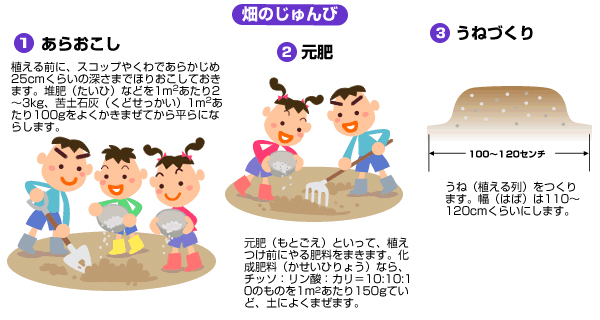 畑を準備する手順