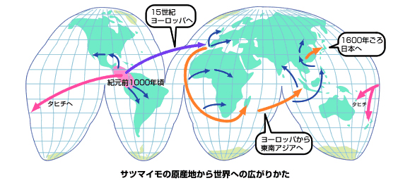 サツマイモの世界への広がり方の地図