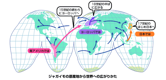 ジャガイモの世界への広がり方の地図