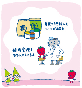 みのるんとみのりんの大冒険　市場の巻