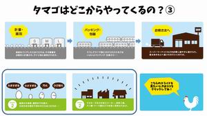 たまごについて3