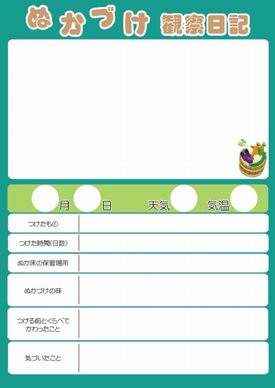 ぬか漬け観察日記