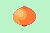 たまねぎ