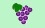 ぶどう