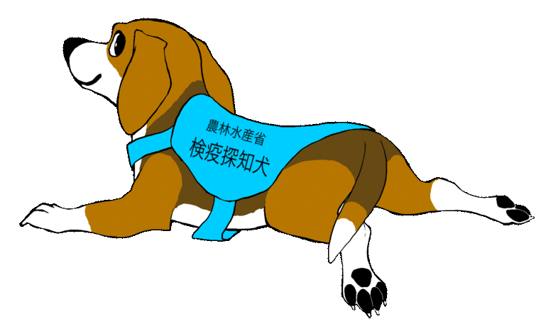 探知犬