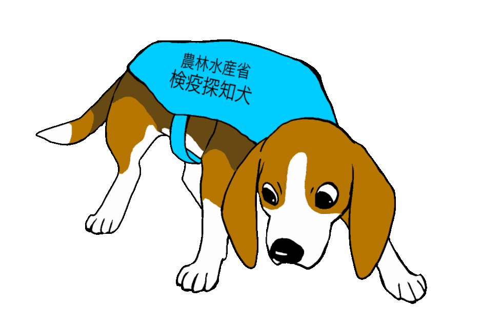 探知犬