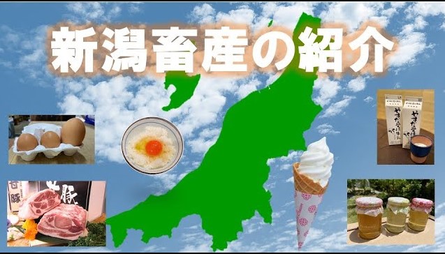 新潟畜産の紹介