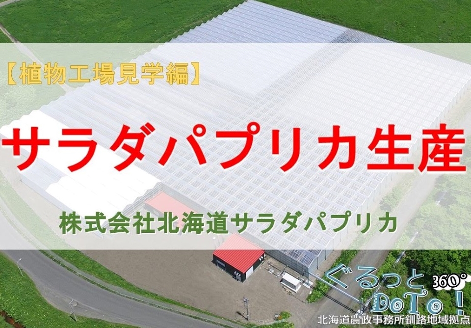 植物工場見学（Youtube）