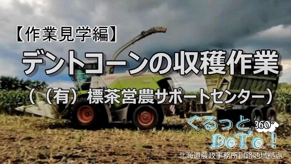 デントコーン収穫作業（Youtube）
