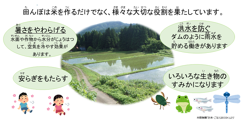 田んぼの役割