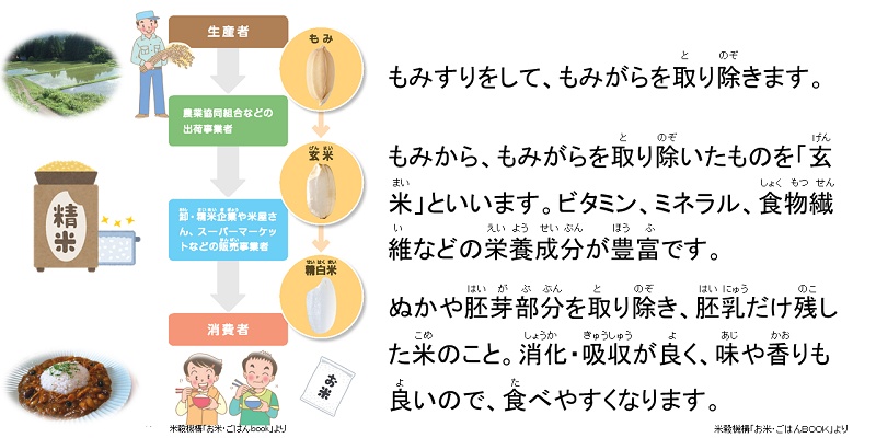 米が食卓に届くまで