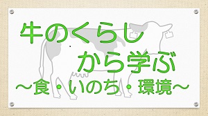 牛のくらし
