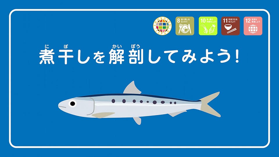 煮干しを解剖してみよう!動画