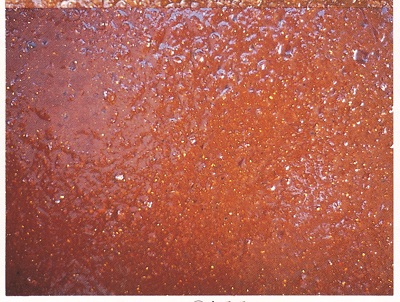 もろみ＿6ヶ月仕込み