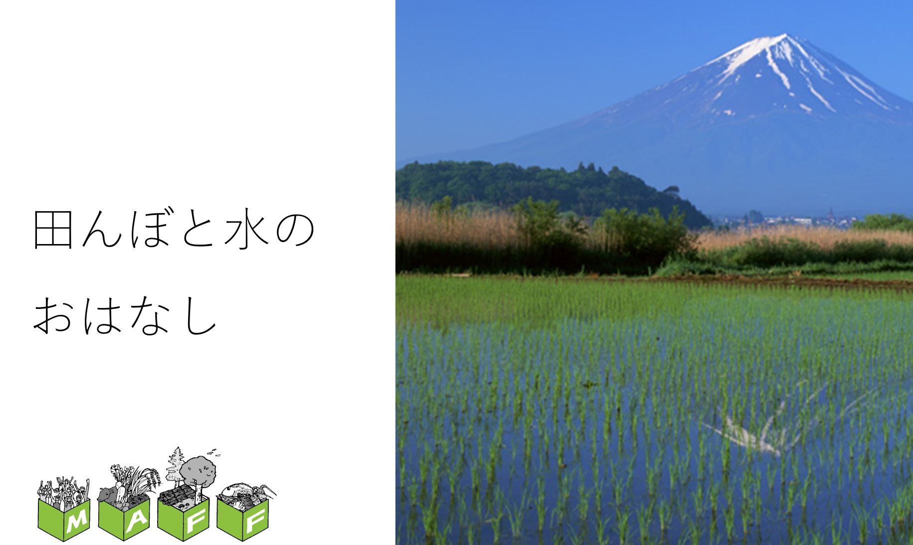 田んぼと水のおはなし