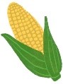 とうもろこし