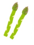 アスパラガス