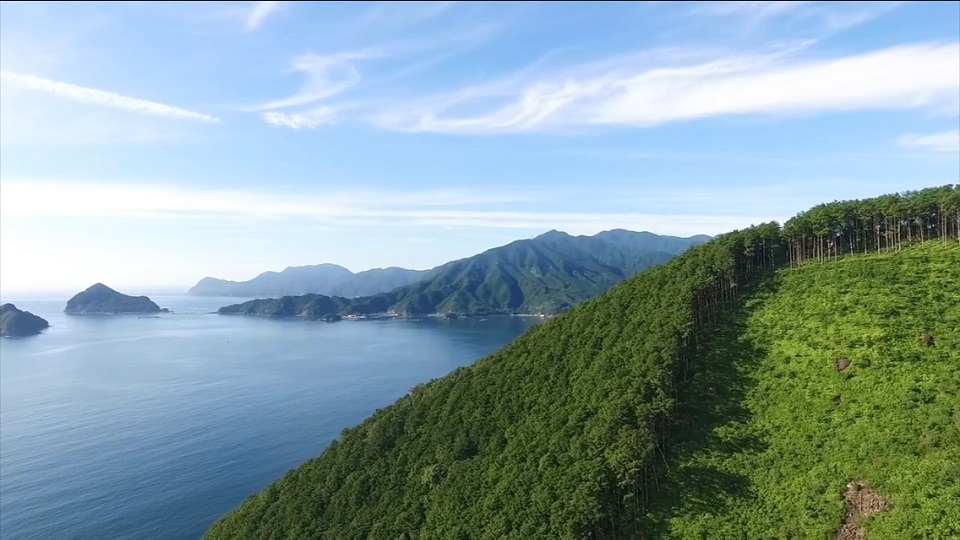 尾鷲市、紀北町