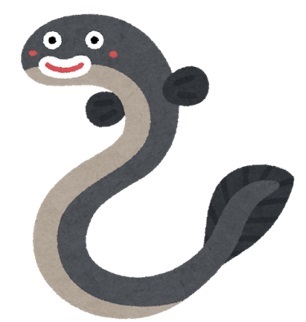 ウナギ