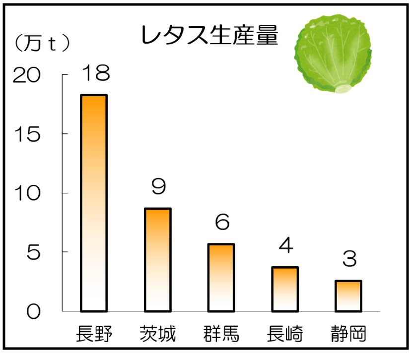 レタス生産量