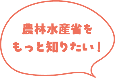 プログラムは6月28日公開